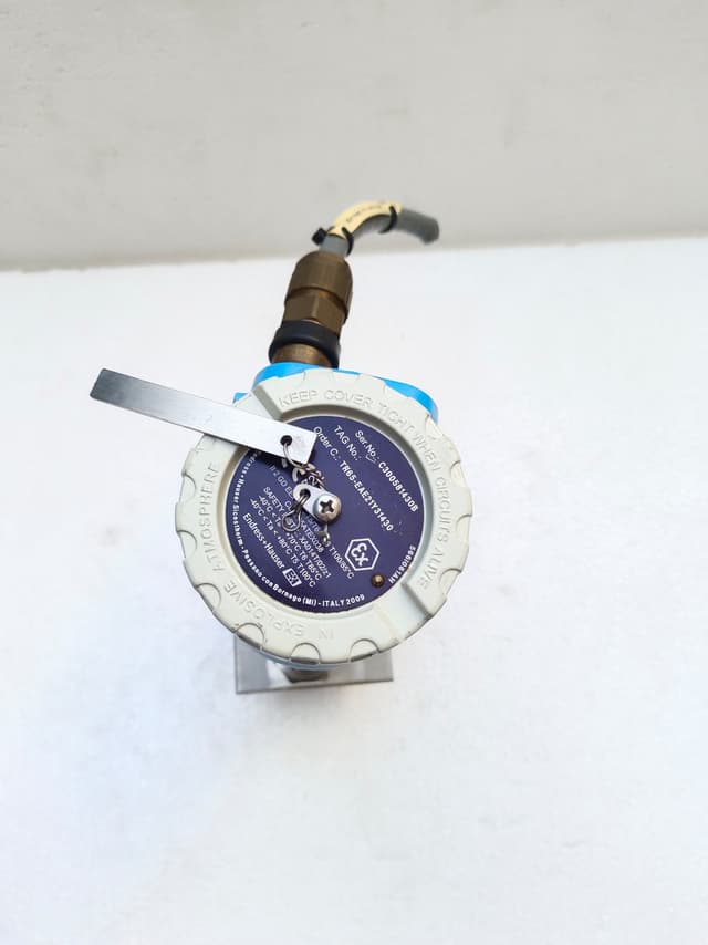 Endress+Hauser TR65 Explosion-proof Pt100 Thermometer | TR65-EAE21T31430 | 32377206